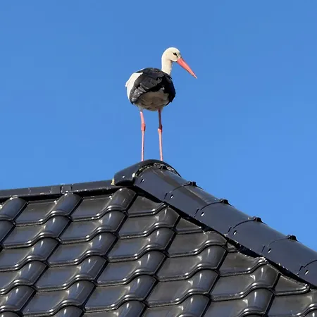 Schroeders Gaestehaus *